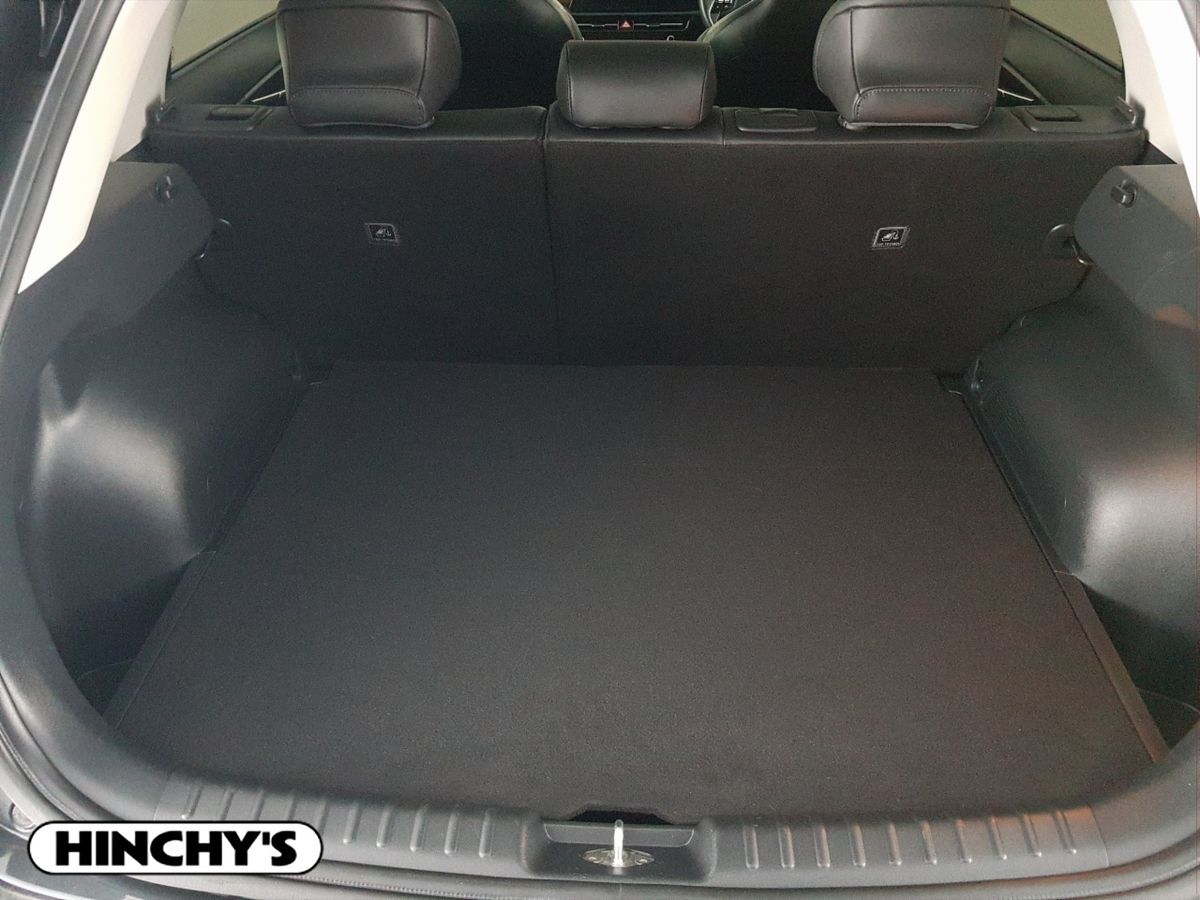 Kia Kia Niro Niro EV K3 SEM