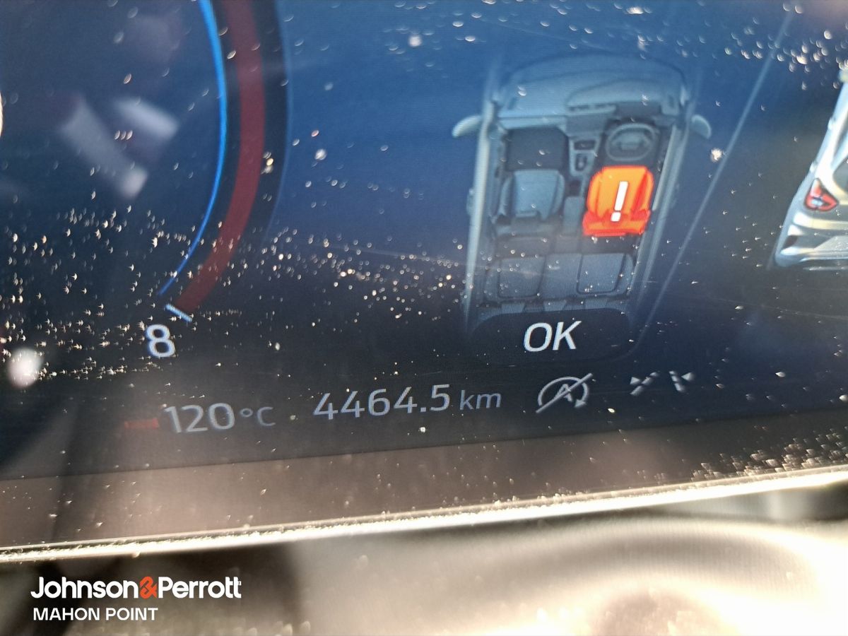 Ford Puma 1.0L EcoBoost Hybrid 125PS ST-Line