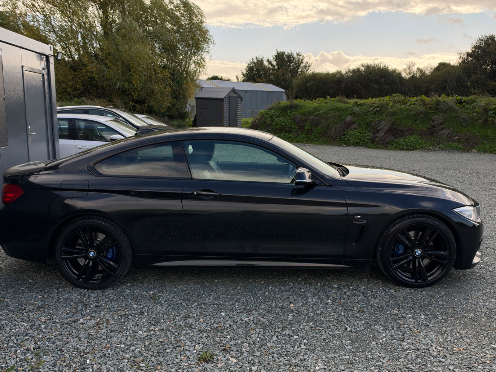 2017 BMW 4-Series, photo 4